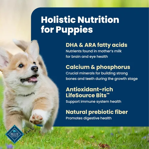 Miniatura 3 de Blue Buffalo Life Protection Formula - Alimento seco para cachorros con DHA y ARA, hecho con ingredientes naturales, receta de cordero y avena
