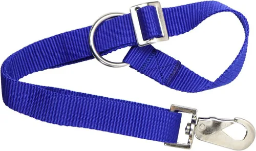 Miniatura 5 de Derby - Correas ajustables resistentes para cubo de agua de caballo (azul rey)