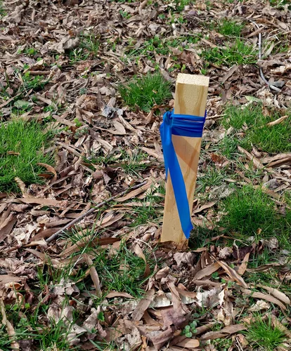 Miniatura 3 de Brady Cinta de señalización azul para límites y áreas peligrosas, cinta no adhesiva, 1.188 pulgadas de ancho, 300 pies de longitud (paquete de 1)
