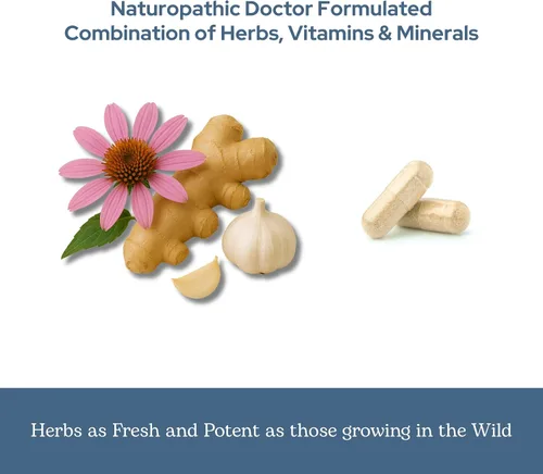 Miniatura 6 de Eclectic Institute Vitabiotic Immune Nuevo en cápsulas, 150 cápsulas vegetales sin OMG