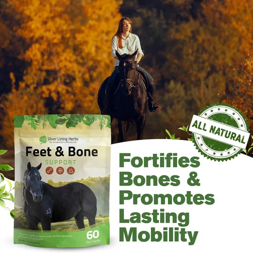 Miniatura 8 de Silver Lining Herbs Suplemento para pies y huesos para caballos en polvo, tendones naturales, ligamentos y tejidos circundantes y suplemento