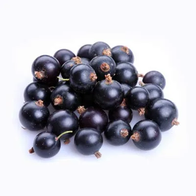Fruta congelada fresca de Northwest Wild Foods - bayas silvestres orgánicas, naturales, para una dieta saludable y antioxidante. Ideal para batidos,
