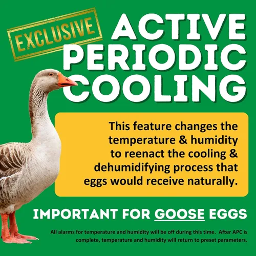 Miniatura 8 de Incubadora de Huevos Hatching Time con Giro Automático de Huevos y Control de Humedad Incubadora Digital para Aves de Corral con Capacidad para 60