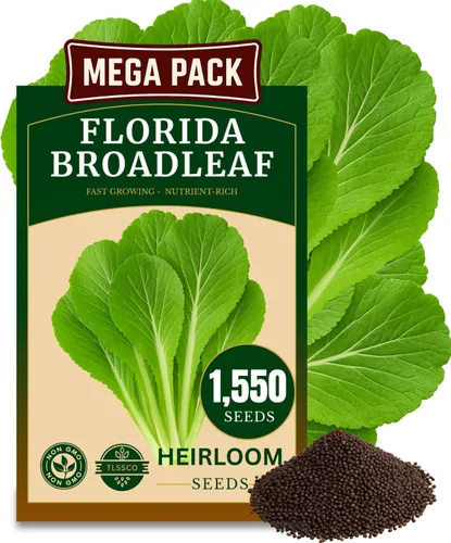 Más de 1500 semillas de mostaza de hoja ancha de Florida para plantar, empaquetadas para semillas sin OMG 2026, crecimiento rápido, tolerantes al