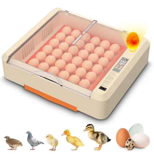 Incubadora de huevos 36-60 con giro automático de huevos y control de humedad, incubadora de huevos de pollo ajustable con pantalla digital, para