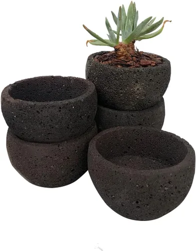 Miniatura 2 de KamelarLava - Maceta para suculentas, maceta bonsái, maceta redonda natural de boca recta, 6 pulgadas, maceta volcánica, paquete de 1 unidad