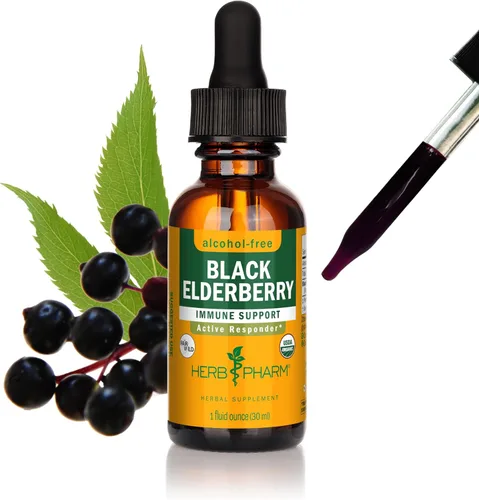 Herb Pharm Gotas de extracto líquido de saúco negro orgánico certificado para apoyo del sistema inmunológico, glicerita sin alcohol, 1 onza