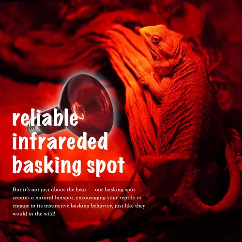Miniatura 4 de Bombilla roja para reptiles, paquete de 2 focos infrarrojos mejorados de 100 W, luz de calefacción nocturna de reptiles, bombilla de calor rojo