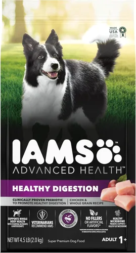 IAMS Advanced Health Healthy Digestion Alimento seco para perros adultos con pollo real, bolsa de 4.5 libras