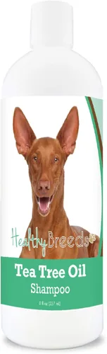 Miniatura 91 de Healthy Breeds Doberman Pinscher Champú de aceite de árbol de té, formulado para piel seca e irritada, reduce la caspa, aroma a gaulteria, 8 onzas