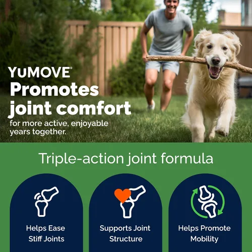 Miniatura 2 de YuMOVE Suplemento para articulaciones de perros mayores con mejillón ActivEase de labios verdes - Glucosamina para perros, ácido hialurónico y Omega
