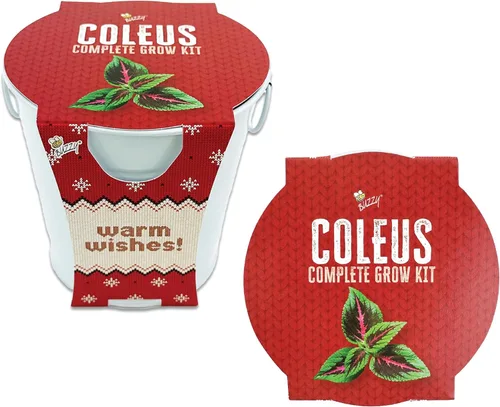 BUZZY Seeds Coleus - Kit de cultivo de plantas de interior, cubo de jardín de metal blanco con semillas de siembra y medio de cultivo, juego de