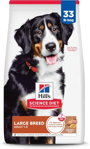 Miniatura 14 de Hill's Science Diet - Alimento seco para perros adultos de raza grande 1-5, proteína de calidad para el apoyo de las articulaciones y músculos