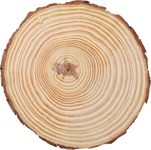 Miniatura 4 de JEUIHAU 10 piezas de rebanadas de madera natural sin terminar de 6.7 a 7 pulgadas, discos redondos de madera para corteza de árbol, círculos