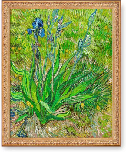 Miniatura 255 de A&T ARTWORK Noche estrellada sobre el Ródano de Vincent Van Gogh. Tamaño del marco: 36 x 30 pulgadas, tamaño de la imagen: 30 x 24 pulgadas