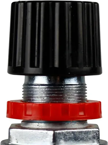Miniatura 2 de FC319205000 Rolair Regulador del compresor de aire G 1/4
