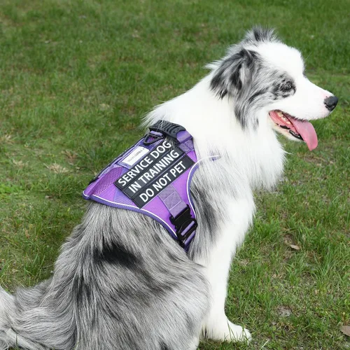 Miniatura 20 de Chaleco de perro de servicio para perros medianos, arnés de perro de servicio en entrenamiento con parches, chaleco ajustable para perros