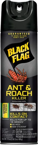 Black Flag Ant & Roach Killer Aerosol, aroma fresco de primavera, 17.5 onzas, paquete de 12