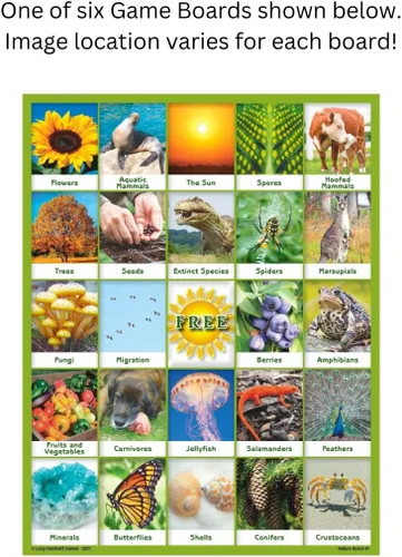 Miniatura 3 de Nature Bingo Juego educativo - Aprendizaje divertido para niños y familias con tableros de imágenes y tarjetas
