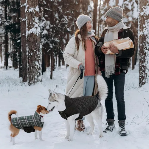 Miniatura 7 de Kuoser - Chaqueta cálida reversible para perro, abrigo de invierno impermeable, estilo británico, ropa para mascotas, chaleco de nieve acogedor