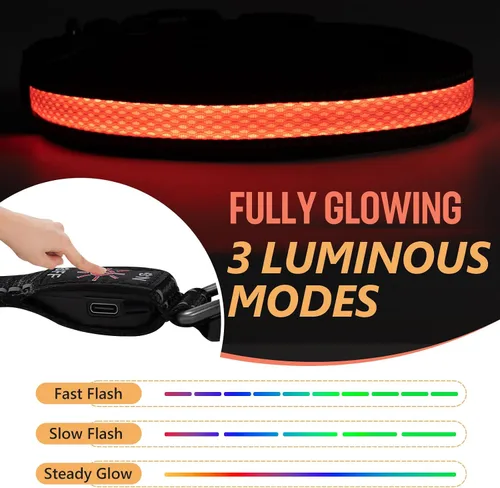 Miniatura 2 de Collar de perro recargable con luces LED para la noche, collar de perro que brilla en la oscuridad, impermeable, collar ajustable con luz