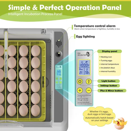 Miniatura 3 de Incubadora de huevos para incubar pollos, girador automático de 36 huevos con control de temperatura y humedad, vista panorámica multifuncional