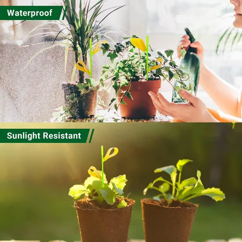 Miniatura 3 de 30 trampas para moscas de la fruta para interiores, trampas adhesivas amarillas para interiores de la casa, trampas adhesivas amarillas
