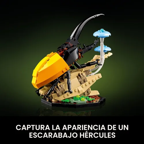 Miniatura 4 de LEGO Ideas La Colección de Insectos, Divertido Regalo para Amantes de la Naturaleza, con Modelos de Mariposa Azul Morpho a Tamaño Real, Escarabajo