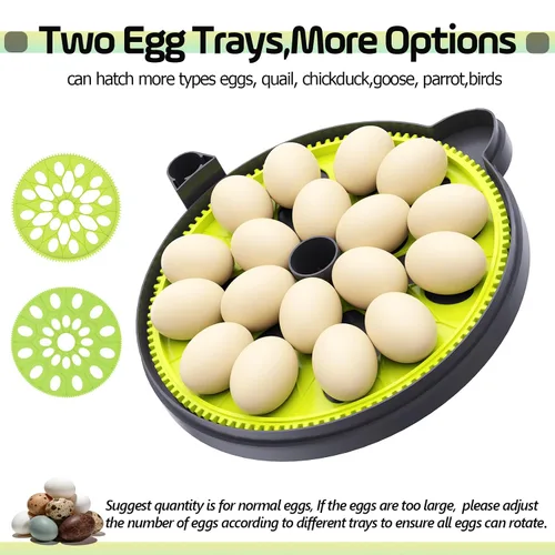 Miniatura 6 de Incubadora de 18 huevos con contador automático de día de giro de huevos y atomizador para control automático de humedad, bloqueo automático