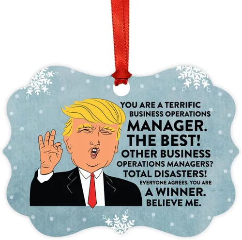 Miniatura 65 de Andaz Press Presidente Donald Trump Fancy Frame Recuerdo Adorno de Navidad Regalo de broma Ejecutivo de Cuenta, 1 paquete, Divertidas Ideas