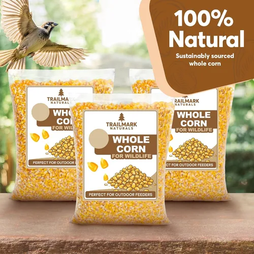 Miniatura 5 de Maíz entero de 10 libras - Semillas de aves y alimento para vida silvestre premium para patos, ciervos, ardillas, pollos y pavos - Maíz entero