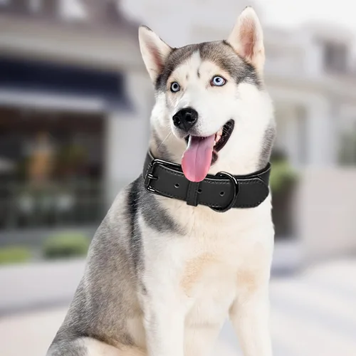Miniatura 2 de Lmlpt Collar de cuero para perro, suave, acolchado, resistente, resistente, cómodo collar básico para mascotas con hebilla de metal ajustable a