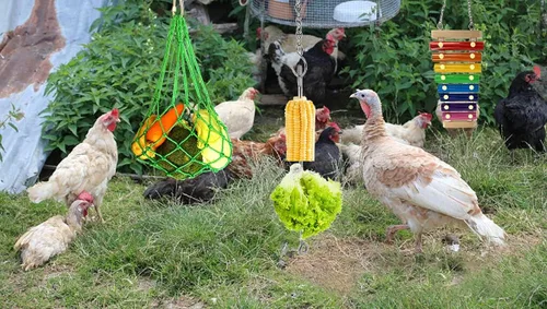 Miniatura 2 de 4 juguetes de gallinero - Juguete de xilófono de pollo, pollo, verduras, brochetas de frutas, lechuga, bolsa de cuerda, colgador de bolsa de pollo