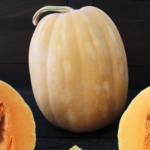 Dickinson - Semillas de calabaza – 1 onza ~ 112 semillas – Semillas de jardinería agrícola, de polinización abierta, sin OMG, semillas de jardinería
