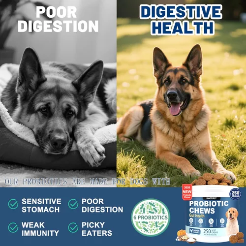 Miniatura 4 de Probióticos para Perros, Masticables Probióticos para Perros para la Salud Digestiva y la Salud Intestinal, Mejoran el Sistema Inmunológico, Alivio