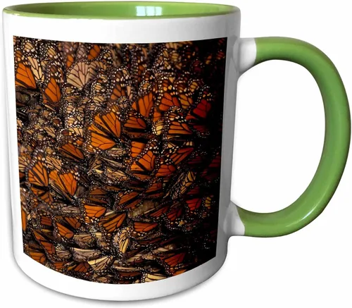 Miniatura 12 de 3dRose Taza de café, tamaño - 15oz - México. Mariposa monarca (Danaus plexippus) - SA13 GJE0047 - Gavriel Jecan Butterflies - divertido regalo