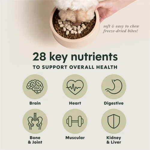 Miniatura 3 de Instinct Raw Boost Mixers Multivitamínico para Perros Adultos Aderezo de Comida Liofilizada, Bolsa de 5.5 oz