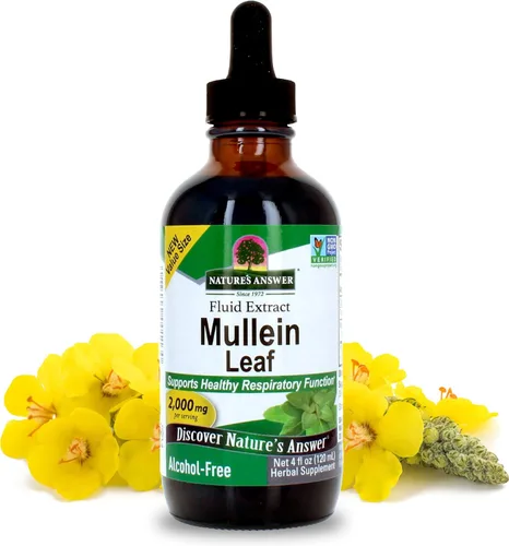 Nature's Answer Extracto de hoja de gordolobo sin alcohol, 4 onzas – 2000 mg de apoyo a base de hierbas respiratorias y mucosas – vegano, sin OMG,
