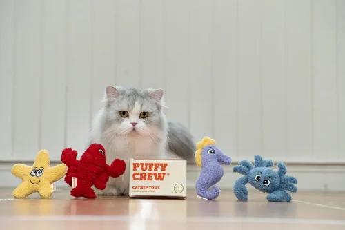 Miniatura 5 de Paquete de 4 juguetes interactivos de peluche para gatos con hierba gatera, juego temático de océano, 5 pulgadas, para gatos de todos los tamaños