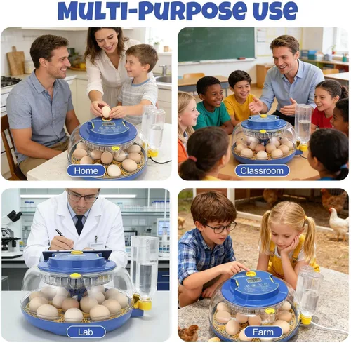 Miniatura 9 de Incubadora de 18 huevos para incubar pollos, codornices, patos y pavos, girador automático de huevos, control de humedad y pantalla digital, incluye