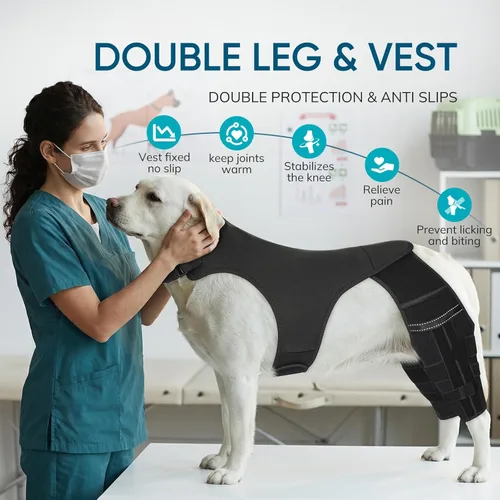 Miniatura 6 de Rodillera ajustable para perro para recuperación de desgarro y artritis del ligamento cruzado anterior - Soporte de patas traseras dobles