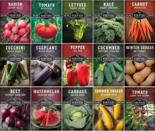 Bóveda de semillas de jardín de verduras para plantar – Colección de 15 unidades | Kit de jardín familiar Heirloom sin OMG y regalo – Tomate,