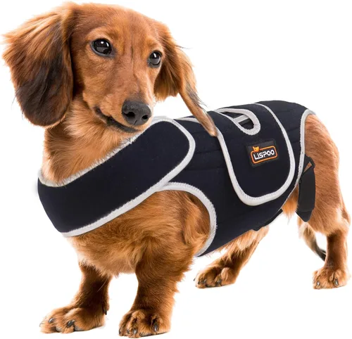 Miniatura 7 de IVDD Correa de espalda para perros con discos deslizados y herniados - Correa de espalda para Teckels y Corgis, asegurando estabilidad espinal