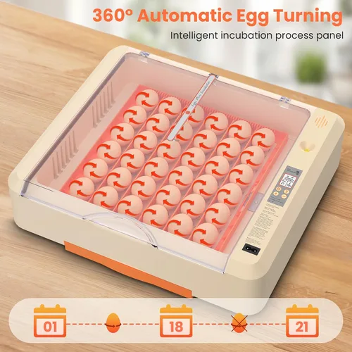 Miniatura 3 de Incubadora de huevos 36-60 con giro automático de huevos y control de humedad, incubadora de huevos de pollo ajustable con pantalla digital