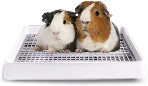 Oncpcare Caja de arena de conejillo de indias de 15 x 12 pulgadas con rejilla, bandeja de arena para animales pequeños para jaula, bandeja de baño