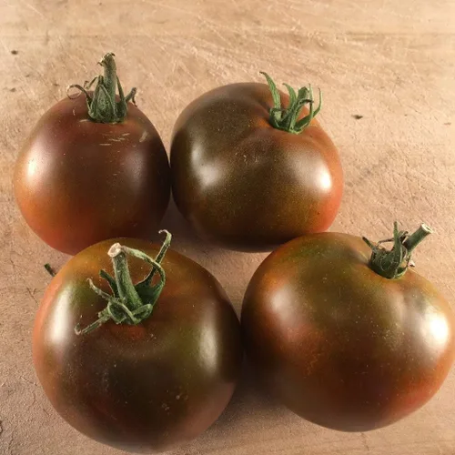 Miniatura 2 de Semillas Black Prince Tomate Indeterminado Variedad Rara Verdadero Tomate Siberiano Sin OGM Heirloom