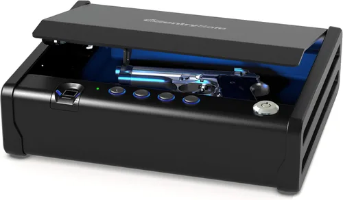 SentrySafe Caja fuerte biométrica para pistolas o pistoleta, caja de seguridad con huellas dactilares y luz interior, capacidad para 1 pistola,
