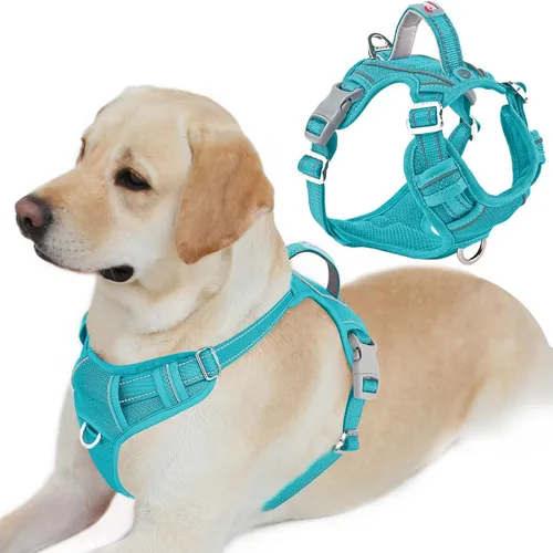 Miniatura 48 de BARKBAY Arnés para perro sin tirones con bolsillo para etiqueta de identificación, resistente, reflectante, fácil control para perros grandes