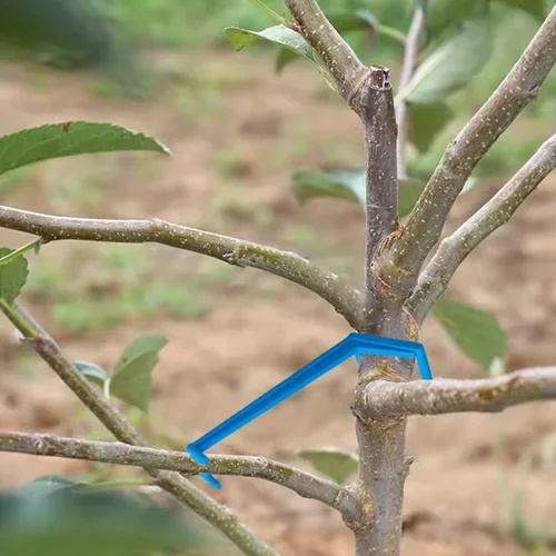 Miniatura 6 de Esparcidores de ramas para árboles frutales Esparcidor de ramas de manzano para apoyar nuevas ramas, plástico negro, 15 piezas y azul 15 piezas