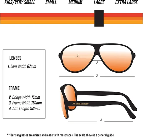 Miniatura 5 de Demi-Tortoise Original Aviator BluBlocker - 2725K
